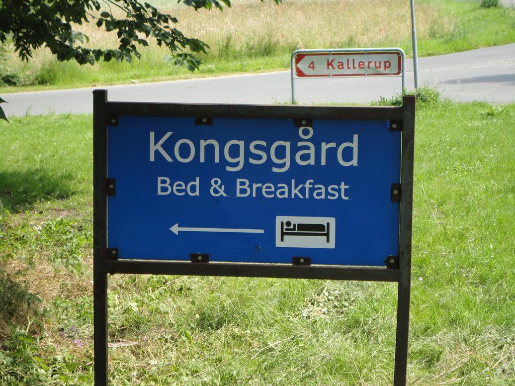 Kongsgard Bed & Breakfast Kalundborg Kültér fotó